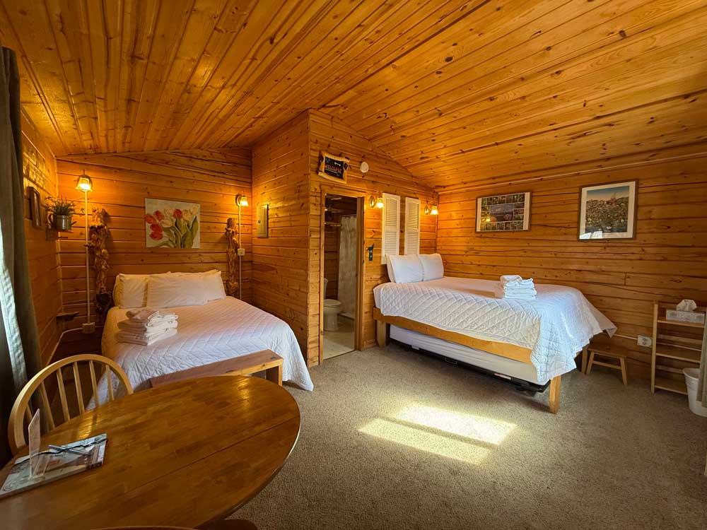 Cozy log cabin interior with modern amenities at EarthSong Lodge & Cabins near Denali National Park