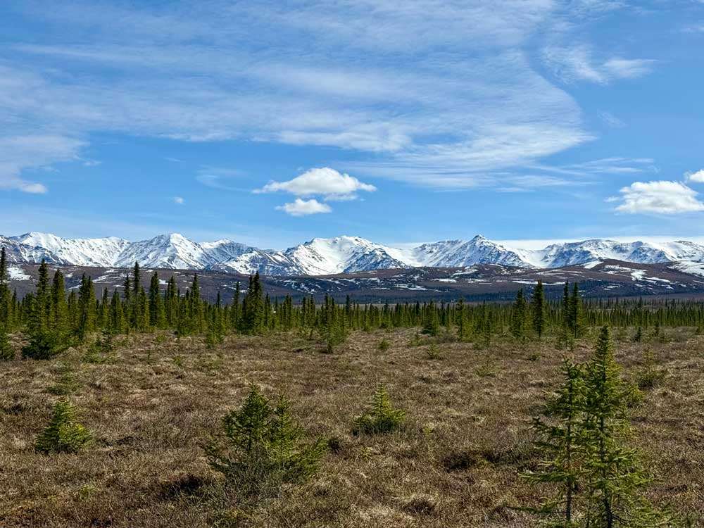 Scenic mountain and forest views surrounding Alaska cabin rentals near Denali National Park in Healy, AK