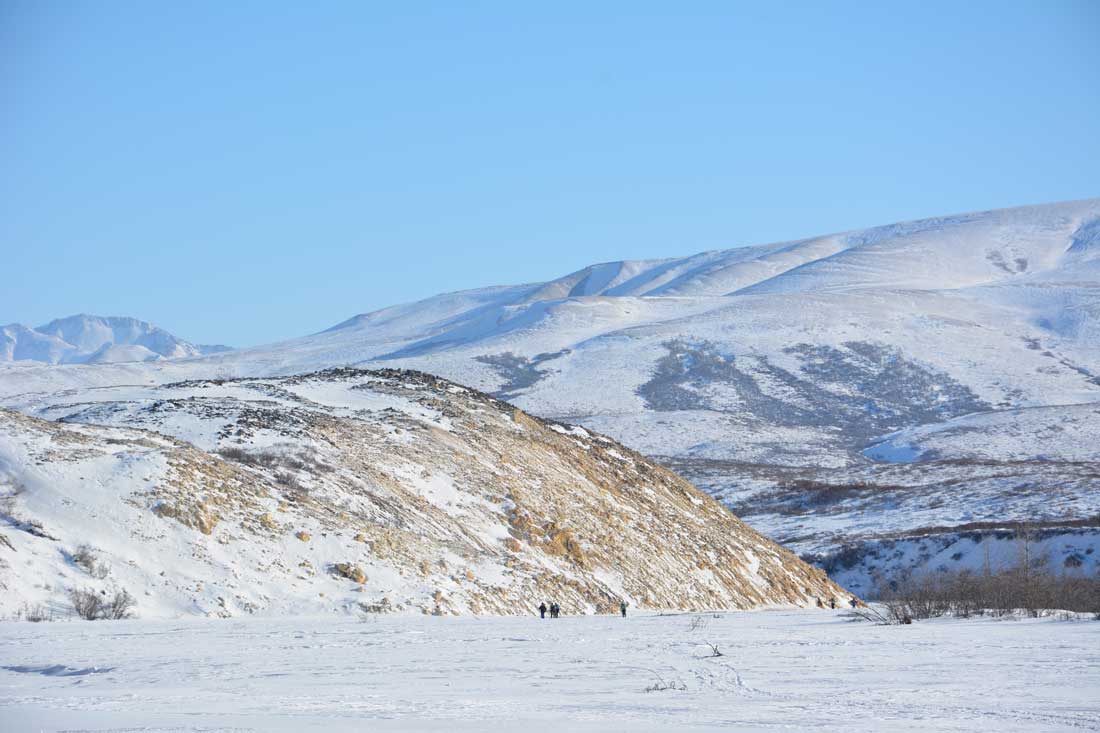 Snowy mountain range along the Denali Park Road